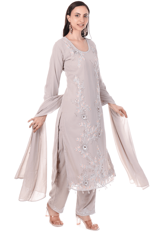 Pakistani heavy straight party wear