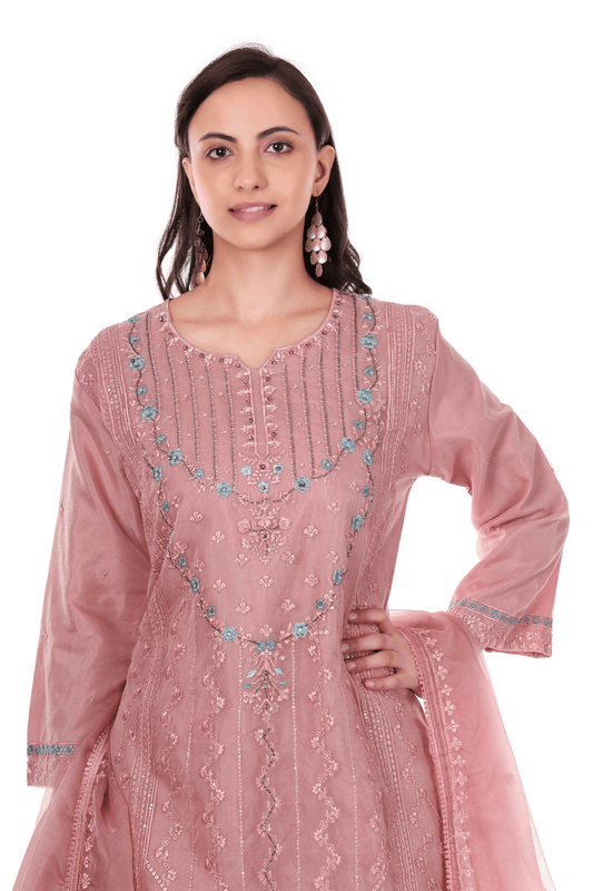 Pakistani heavy embroidered suit set