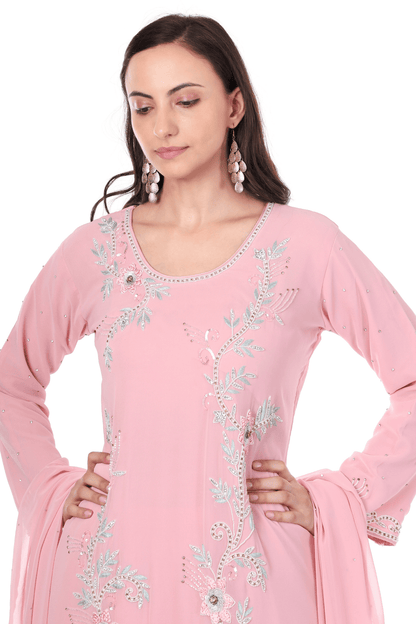 Pakistani heavy straight party wear