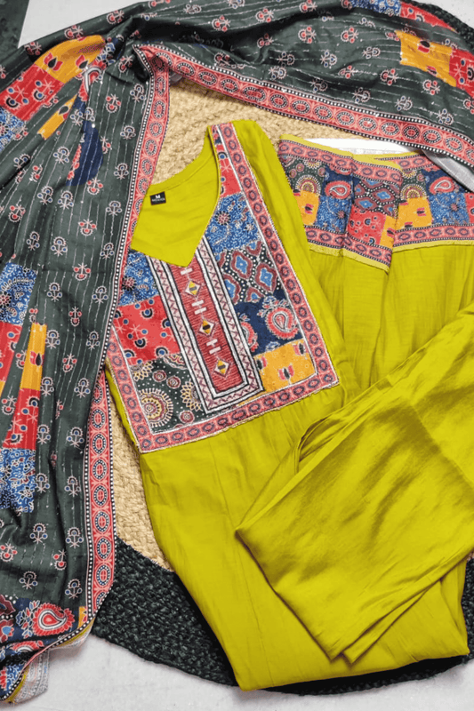 Parot Green A line Ajrak printed suit